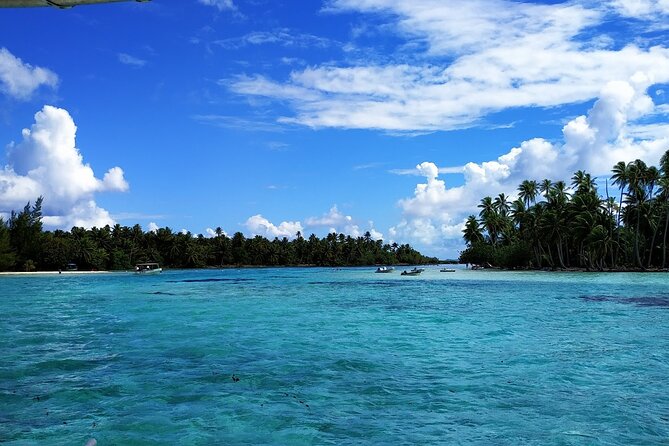 1/2 day Tahaa coral garden - departure Raiatea / ideal for cruise passengers - Why Tahaa’s coral garden is worth the boat ride