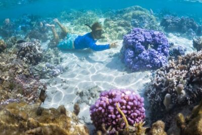 1/2 day Tahaa coral garden – departure Raiatea / ideal for cruise passengers