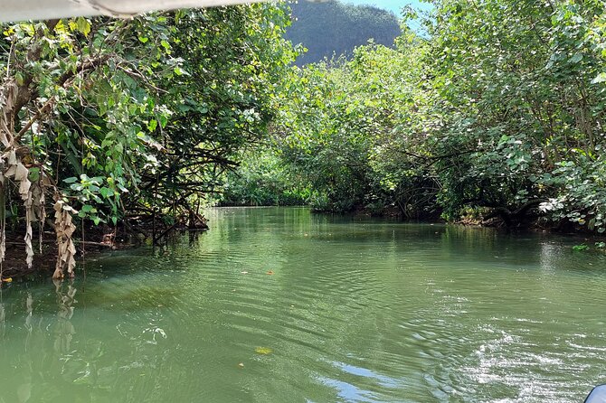 1/2 day "Treasures of Raiatea" by boat - ideal for cruise passengers - Key points to know before booking