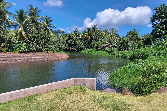 1/2 day "Treasures of Raiatea" by boat - ideal for cruise passengers - Why this half-day trip works well from a cruise ship