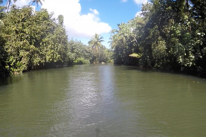 1/2 day "Treasures of Raiatea" by boat - ideal for cruise passengers - How much guiding and local context will you get?