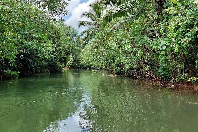 1/2 day "Treasures of Raiatea" by boat - ideal for cruise passengers - Price and what you get for $144.54