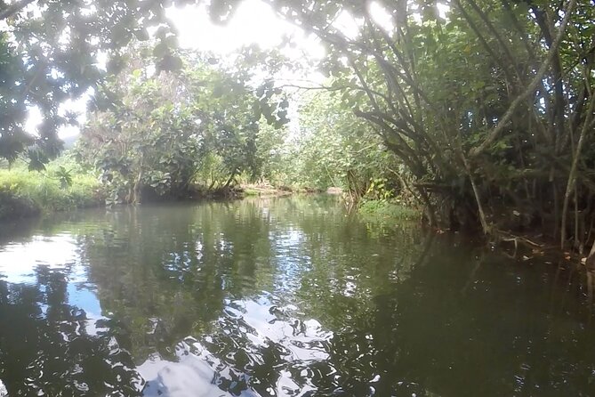 1/2 day "Treasures of Raiatea" by boat - ideal for cruise passengers - Weather, comfort, and practical details