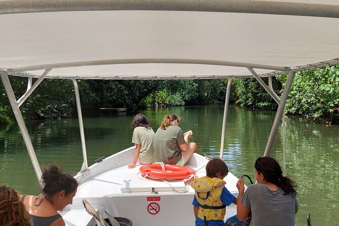 1/2 day "Treasures of Raiatea" by boat - ideal for cruise passengers - Who will enjoy this Raiatea outing most?