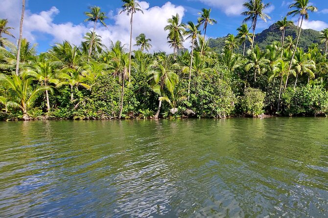 1/2 day "Treasures of Raiatea" by boat - ideal for cruise passengers - Up the Faaroa River, Raiatea’s quiet inland route