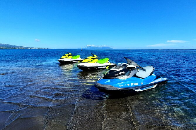 1-hour jet ski excursion in Tahiti - The wildlife factor: turtles, rays, dolphins, and whales