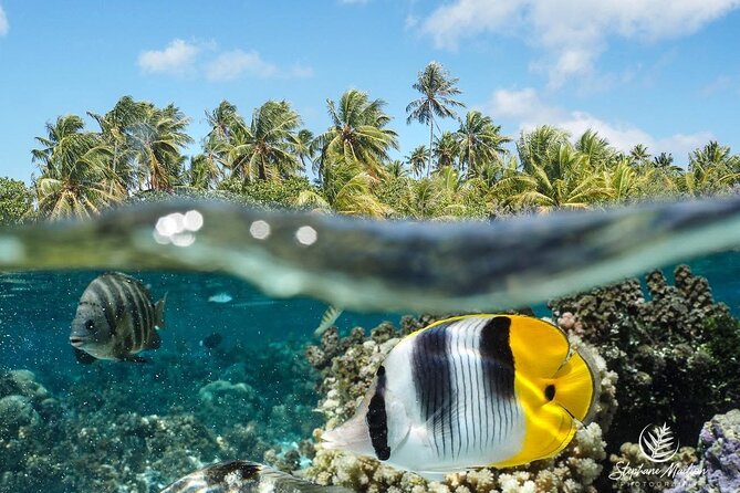 1-hour jet ski excursion in Tahiti - The $140 price and the shared-jet question
