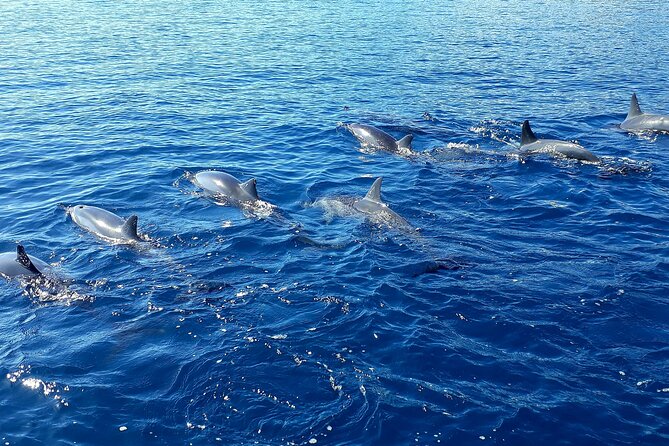 1-hour jet ski excursion in Tahiti - One hour across Tahiti’s lagoon