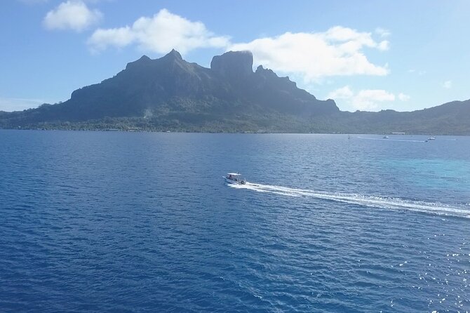 2 Dives in the morning for certified divers in Bora Bora - Why the five-person limit is useful