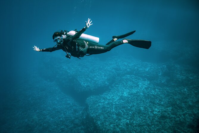 2 Dives in the morning for certified divers in Bora Bora - Who should book this experience