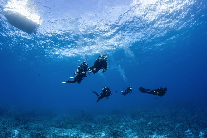 2 Dives in the morning for certified divers in Bora Bora - Important timing around flights