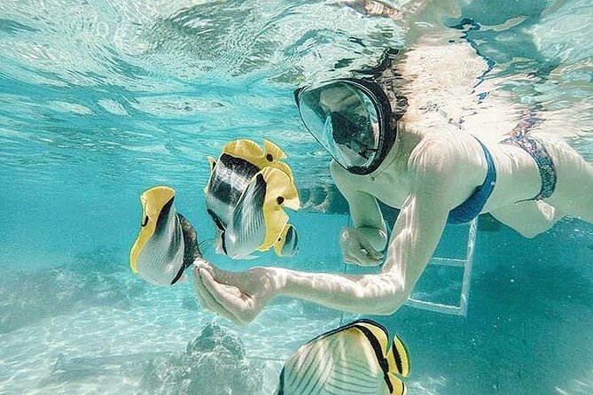 3-hour Lagoon Snorkeling Tour - Shared Tour - Key points to know before booking