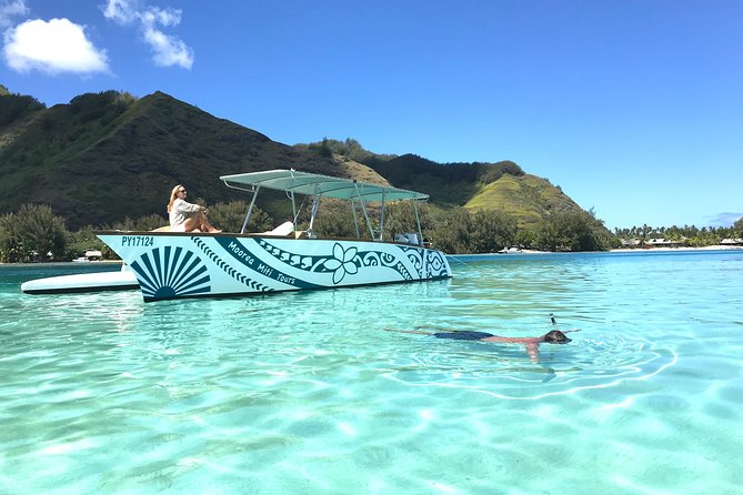 3-hour Lagoon Snorkeling Tour - Shared Tour - Stop one: blacktip sharks and friendly stingrays