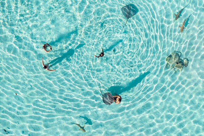 3-Hour Snorkeling Tour - Key points to know before you book