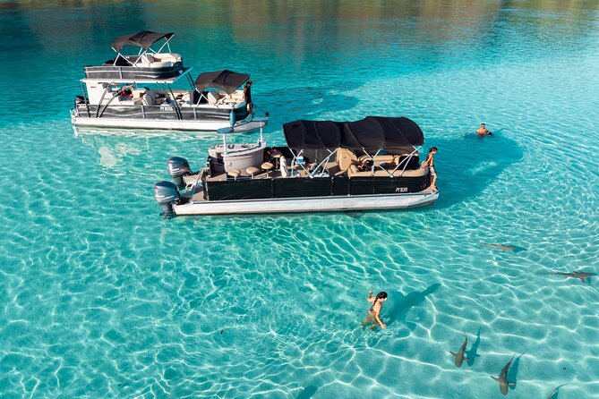 3-Hour Snorkeling Tour - Who will enjoy this Moorea snorkeling trip
