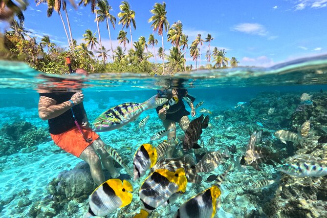 3H Adventure in JET SKI Snorkeling and Tahaa Lagoon - Key points to know before you book