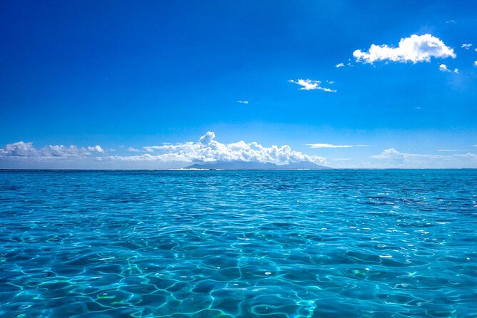 3h dolphin and snorkeling tour in a wild lagoon with Mobydick - What to bring and how to prepare