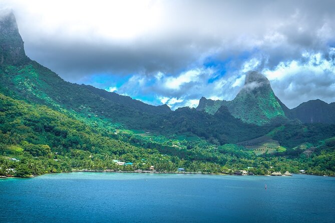 4 Hour Private Humpback Whales Encounter in Moorea - When the crew allows a swim near the whales