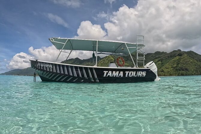 4 Hour Private Humpback Whales Encounter in Moorea - Searching Moorea’s coast for humpback whales