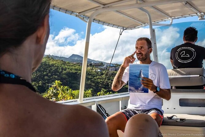 4 Hours of Humpback Whale Watching in Tahiti - Snorkeling depends on the whales, not the timetable