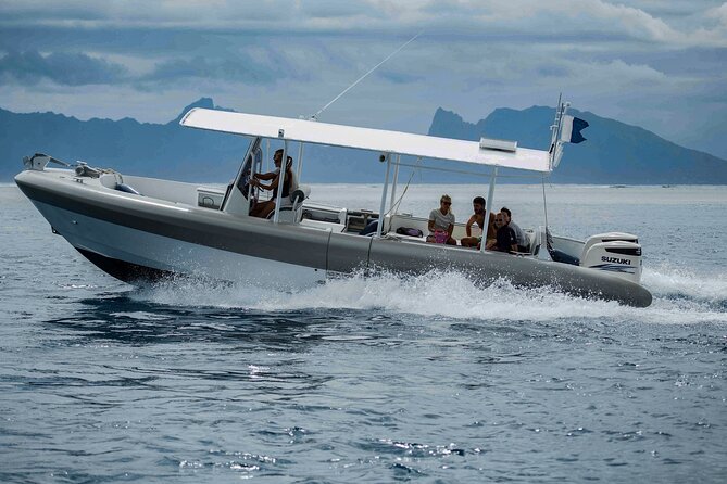 4 Hours of Humpback Whale Watching in Tahiti - How good is the $127.54 price?