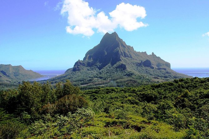 4x4 Moorea Safari Tours : With Hotel transfers - Eels, rivers, fruit, and island culture