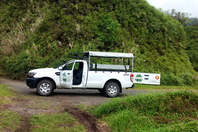 4x4 Safari HEREAKIMANU Tour in the Heart of Tahiti - Comfort, fitness, and motion sickness