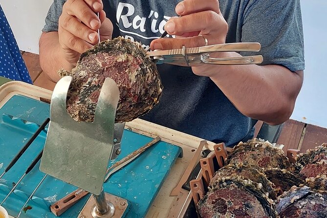 4x4 Tour – Culture, Crafts and Agritourism in Raiatea - Taputapuatea Marae and Raiatea’s Polynesian roots