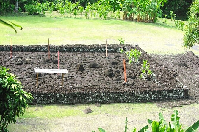 5 Hours Tahiti Island Tour - West and East Coast - Tahiti’s full coastal circuit in half a day