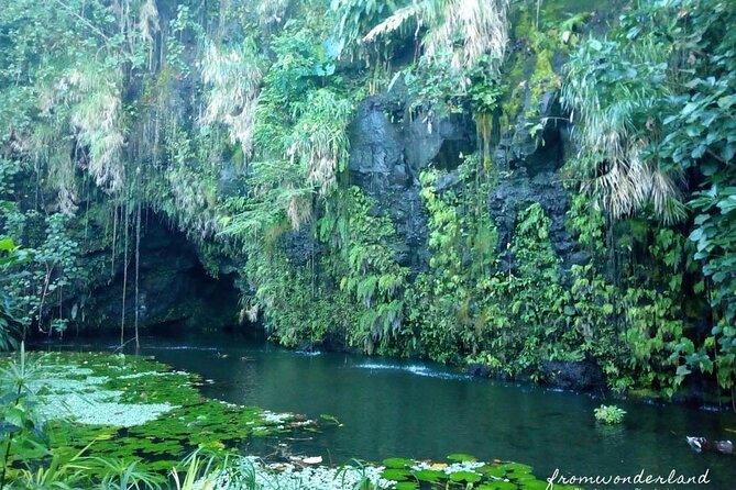 5 Hours Tahiti Island Tour - West and East Coast - Vaipahi Water Gardens: the greenest pause