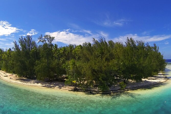 6 Hour Private Boat Activity with Snorkeling & Lunch - What the private format is worth