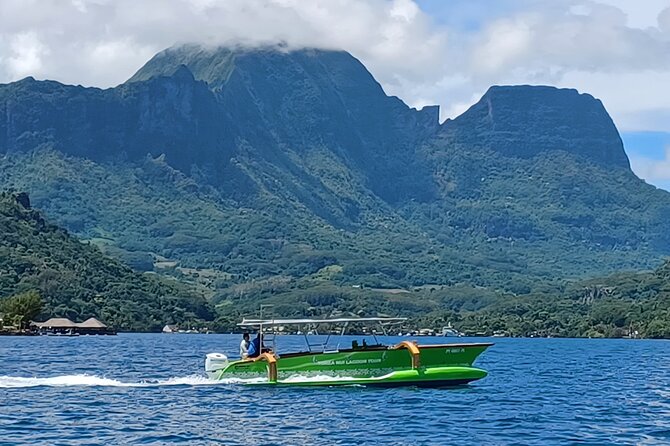 Activity/Excursion Lagoon Tour to Moorea by Canoe 6 hours - Coral gardens and clear water