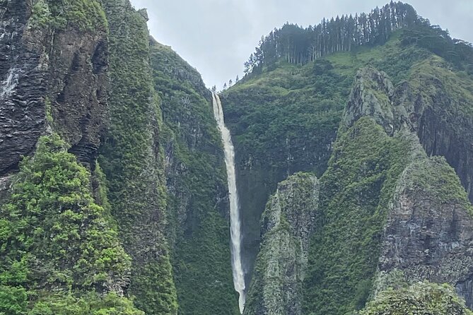 Adventurous Escape to Hakaui Valley - Key points to know before you book
