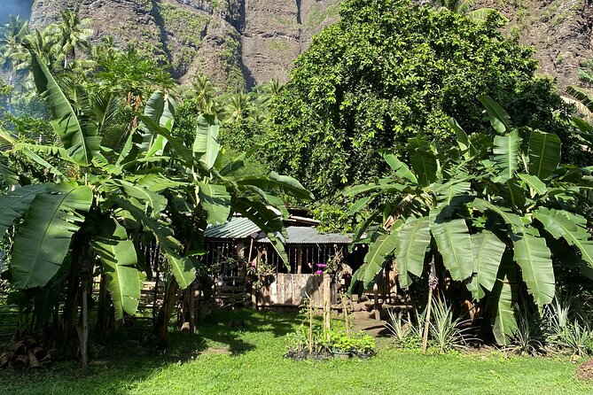 Adventurous Escape to Hakaui Valley - Marquesan art made close to home