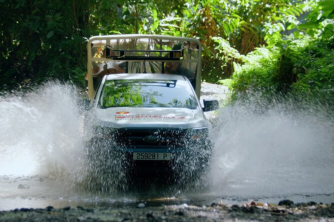 ALBERT TOURS: Excursion 4x4 safari with private SWING view point - Key points at a glance