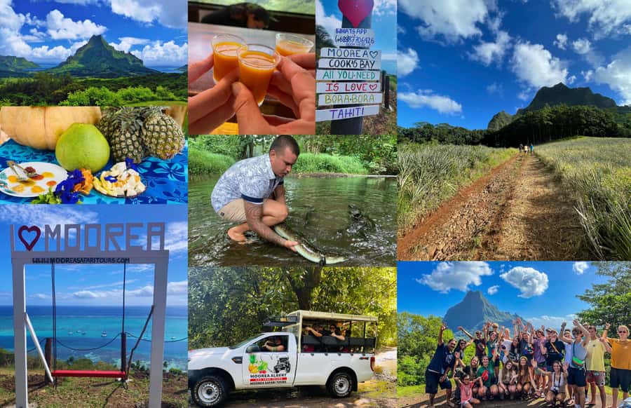 Albert Tours Excursion Safari - Moorea Safari tours&pick up - A fast route into Moorea’s interior