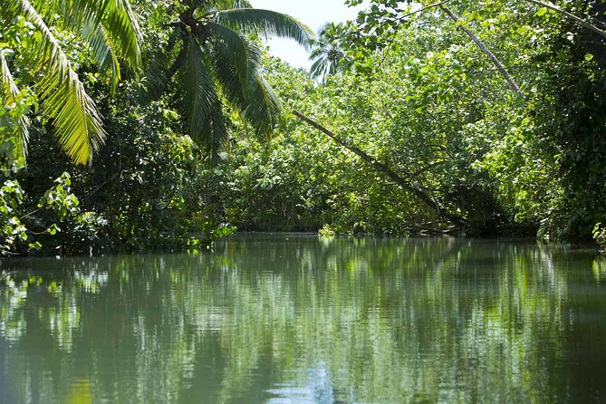 Apetahi day trip around Raiatea on a modern outrigger canoe - Lunch by the water adds a welcome pause