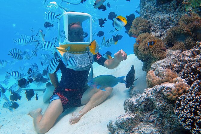 Aqua Safari Introductory Helmet Dive (Underwater Walk) - Five things to know before you book