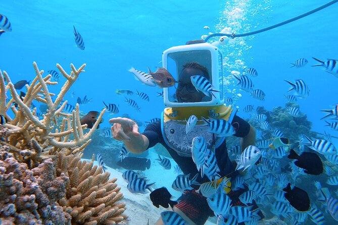 Aqua Safari Introductory Helmet Dive (Underwater Walk) - The boat ride to Bora Bora’s coral garden