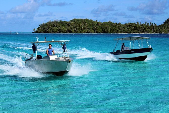 Aqua Safari Introductory Helmet Dive (Underwater Walk) - Thirty minutes among fish, coral, and a familiar stingray