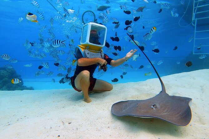 Aqua Safari Introductory Helmet Dive (Underwater Walk) - How the guides shape the experience