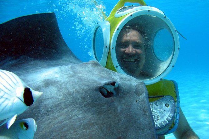 Aquablue Moorea - Key Points About Aquablue Moorea