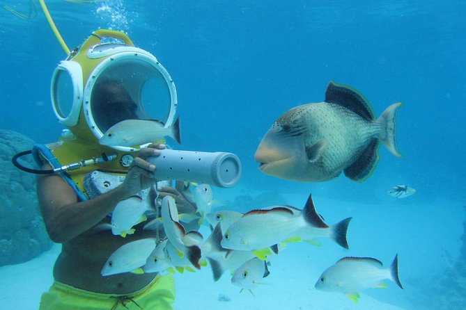 Aquablue Moorea - Walking Among Fish and Stingrays