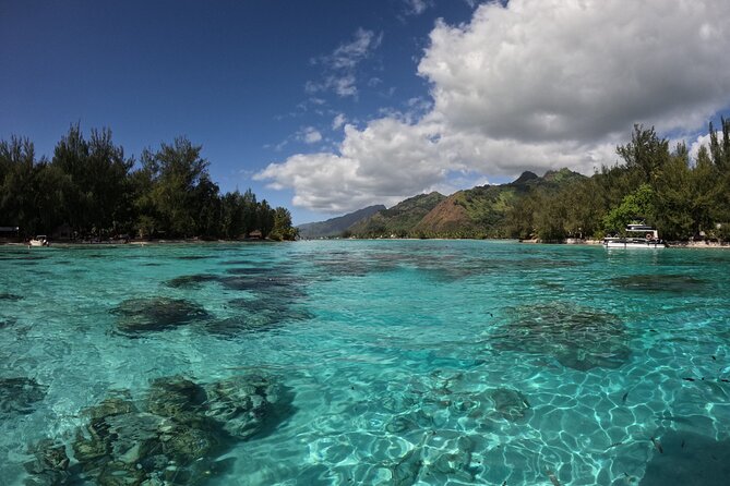 Aquablue Moorea - Why the Small Group Size Matters