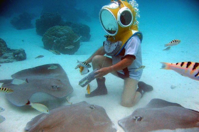Aquablue Moorea - Photos, Video, and the Value of the $109.55 Price