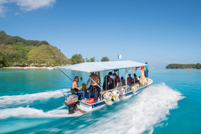 Aquablue Moorea - What Could Make the Experience Less Enjoyable