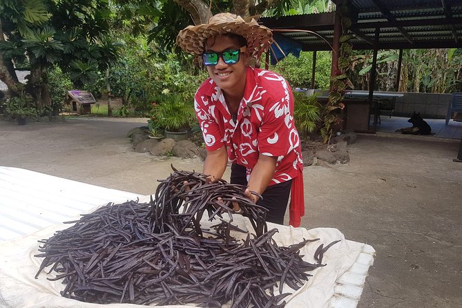 Authentic Polynesian Experience - Drift snorkeling in the Coral Gardens