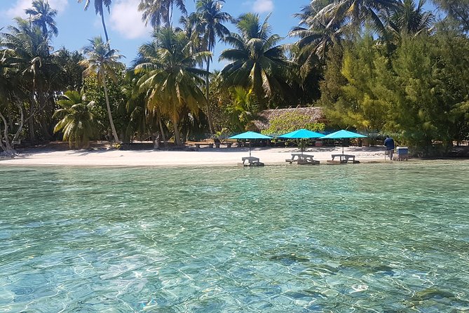 Authentic Polynesian Experience - Music, coconut climbing, and the human side of the day