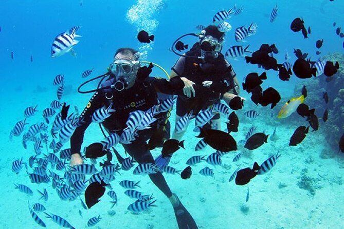 Baptism diving in the turquoise waters of Tahiti - Why this Tahiti baptism works for first-timers