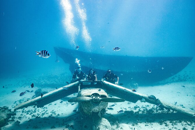 Baptism diving in the turquoise waters of Tahiti - Colorful fish and the feeling of weightlessness